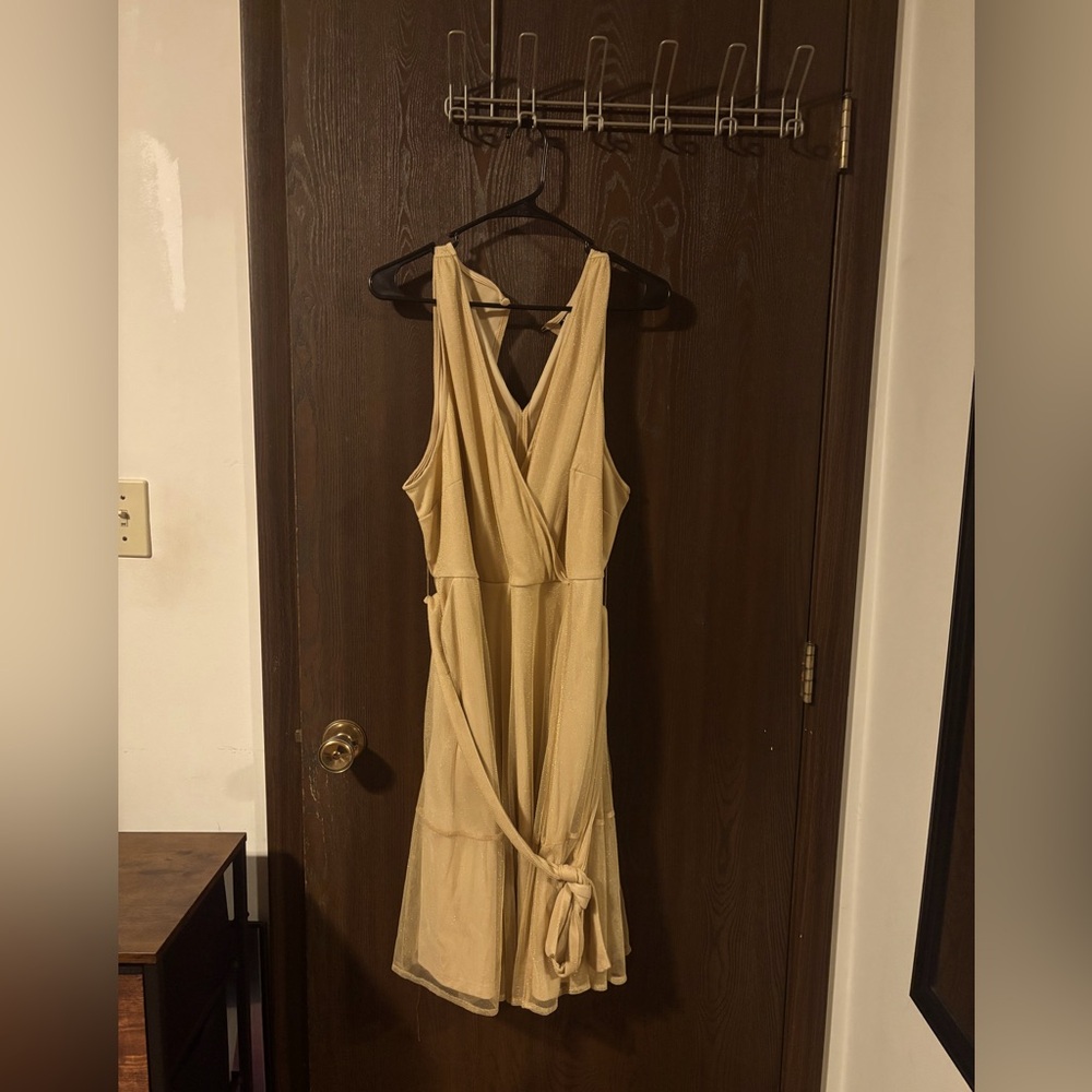 Nwt torrid size 3 gold shimmer belted dress
